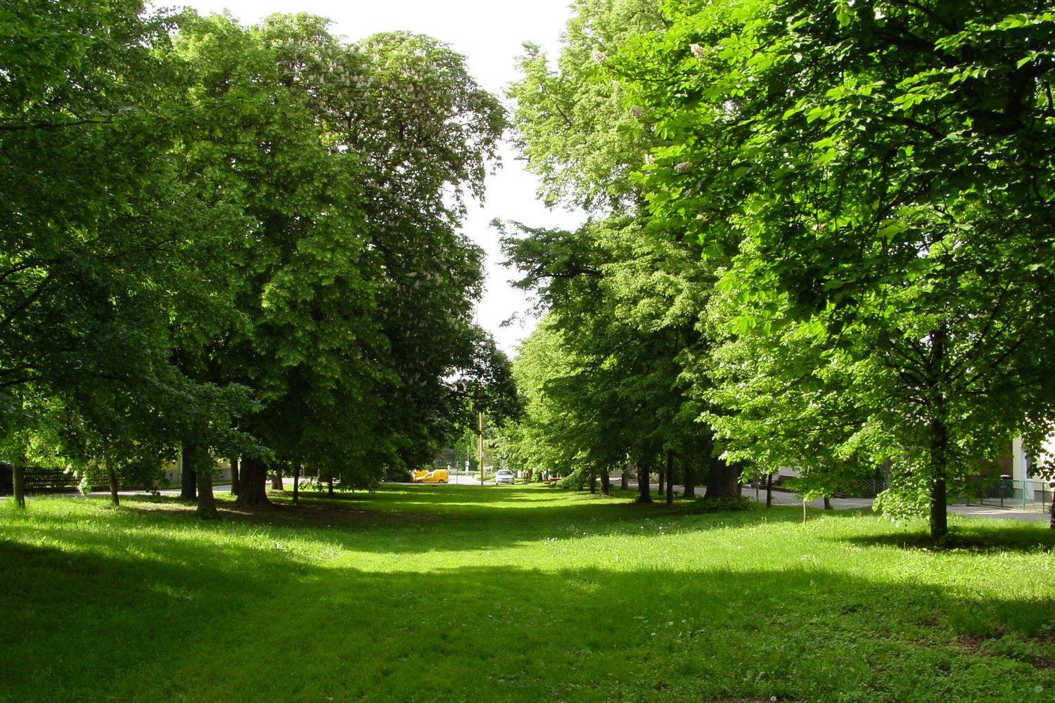 Zelená aleja so stromami a trávnikom pri dennom svetle.