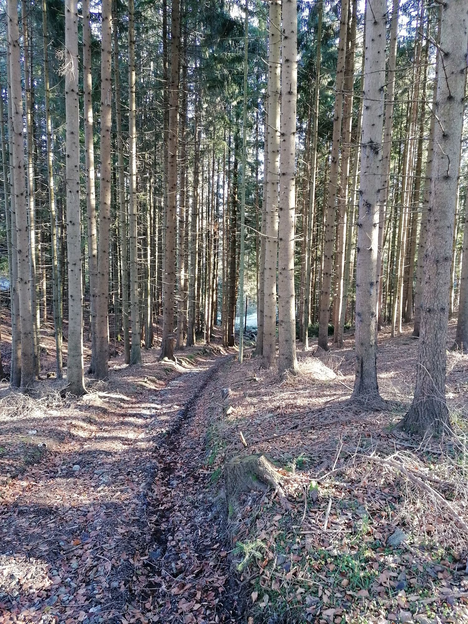 Dutá cesta ku kaplnke Pass