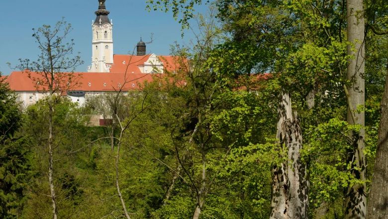 Pohľad na kláštornú budovu s vežou za stromami v opátskom lese v Altenburgu.