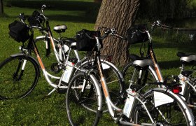 Cycling in the Weinviertel, © Weinviertel Tourismus GmbH / Mandl
