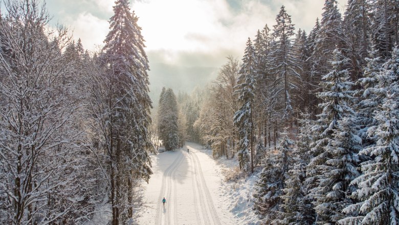 Cross-country skiing on the M&uuml;hlenloipe, &copy; Wiener Alpen, Martin F&uuml;l&ouml;p