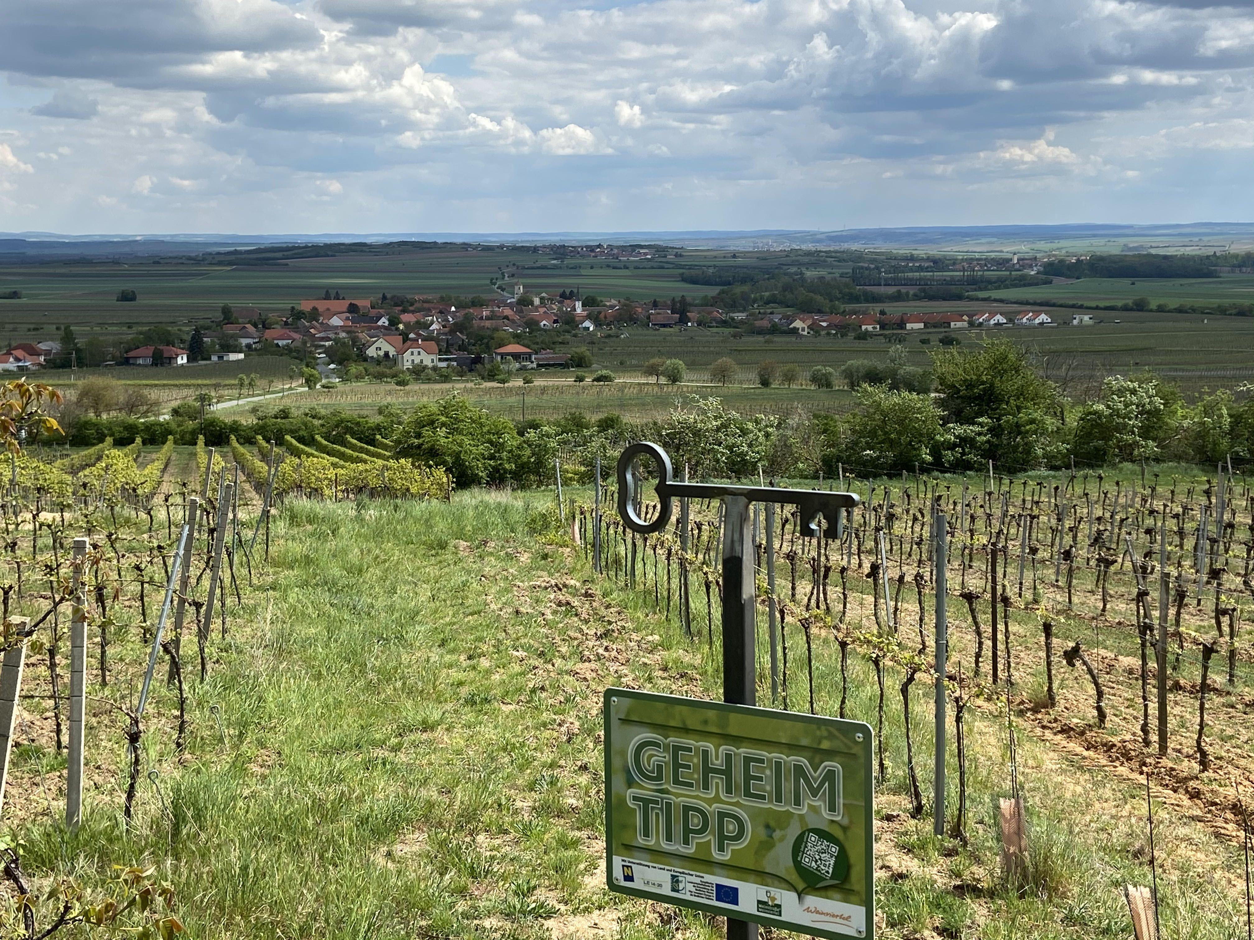 Vinohrad s výhľadom na dedinu v oblasti Weinviertel, nápis "Insider tip".