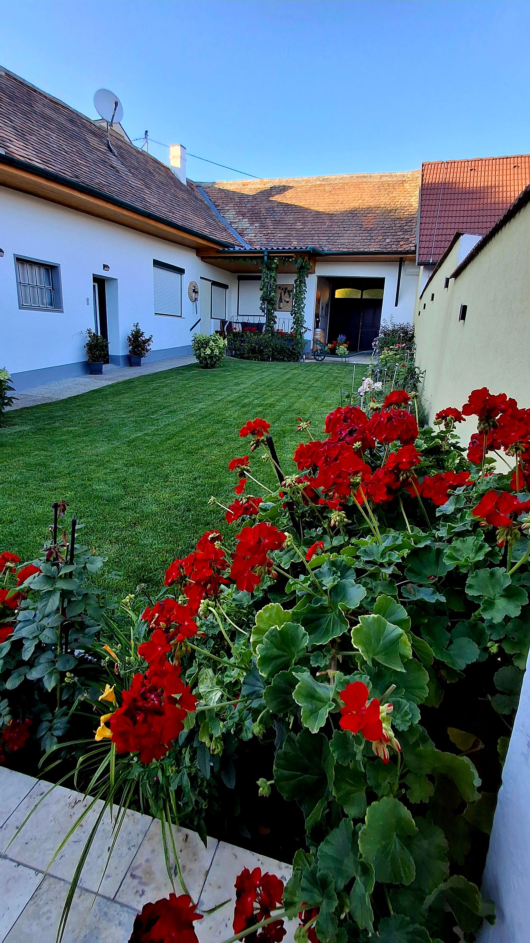 Upravená záhrada s červenými kvetmi pred tradičným domom s tehlovou strechou vo Weinvierteli.