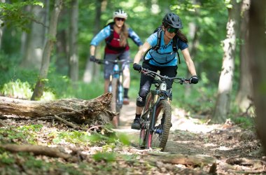 Raj pre cyklistov v Dolnom Rakúsku, © Niederösterreich Werbung/ Markus Frühmann