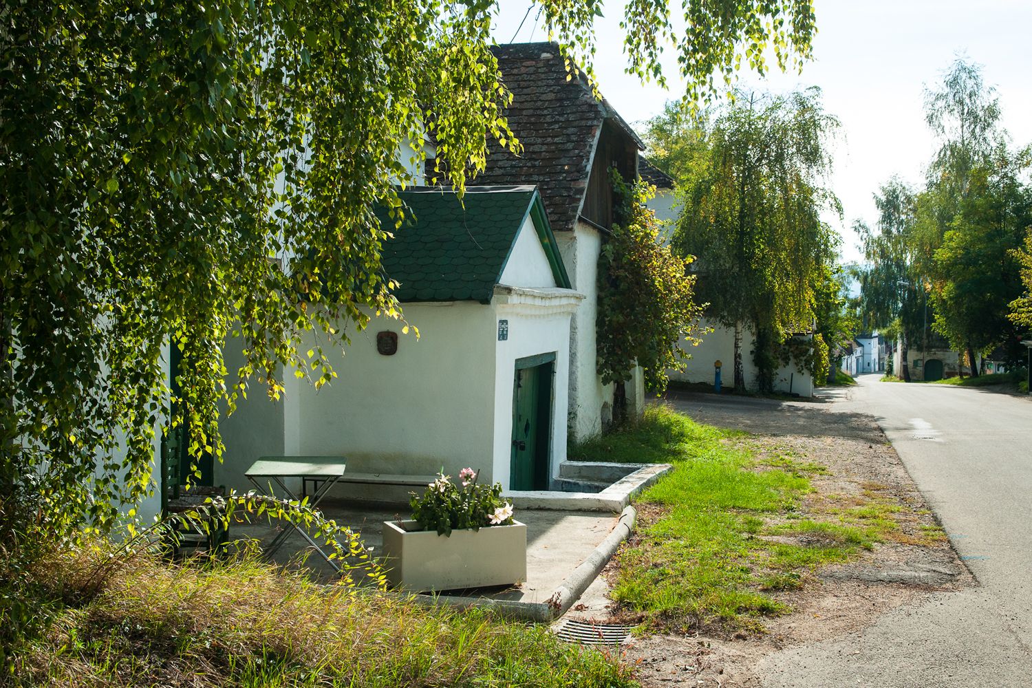 Tichá vínna ulička s bielymi budovami a zelenými dverami, obklopená stromami a rastlinami.