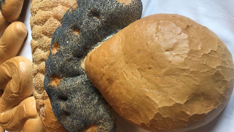 one more thing..., &copy; Karin Tentschert Wienerwald