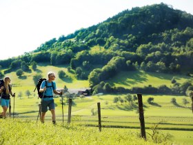 Cesta ku kostolu sv&auml;t&eacute;ho Ondreja v Kirchbergu an der Pielach, &copy; weinfranz.at