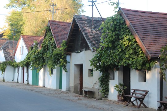 najdlhšia vínna ulička regiónu Weinviertel má 1,6 km a pozostáva zo 400 lisovní a pivníc., © Weinviertel Tourismus/Krönigsberger