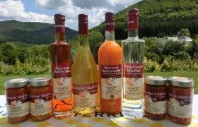 Apricot assortment at Kausl, © Marillenhof Kausl