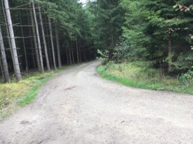 Turistick&yacute; chodn&iacute;k č. 33, pr&iacute;roda, &copy; Stadtgemeinde Allentsteig