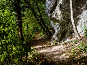 Helenental, &copy; Wienerwald