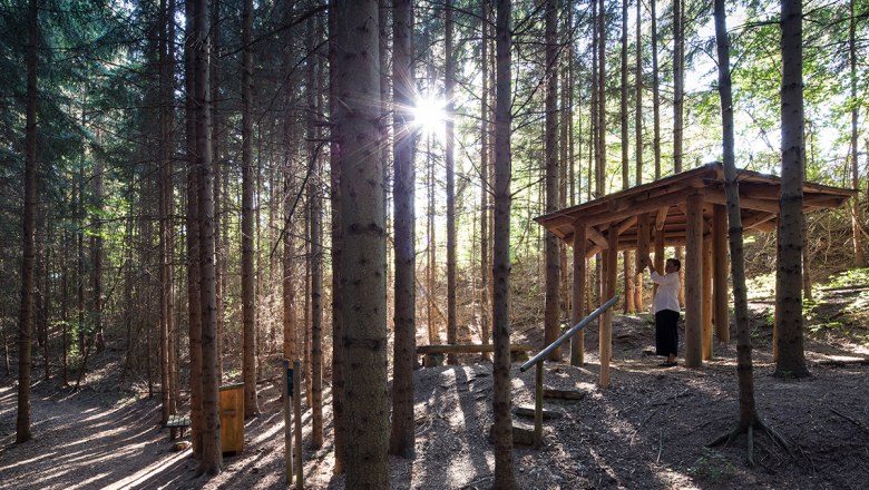 Power path in Maria Laach am Jauerling, © Lachlan Blair