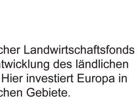 Auf zu den Kamelen! - Radeln für Kids St. Aegyd, © Unknown