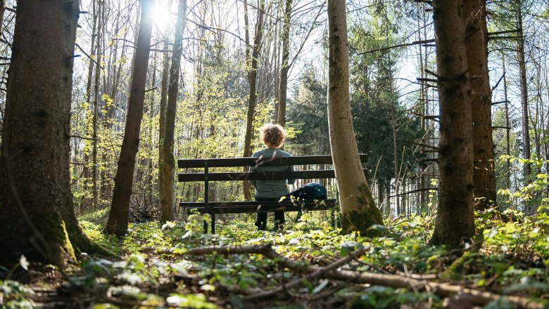 Na ceste v&scaron;&iacute;mavosti, &copy; Daniel Gollner