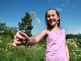 Der Rundwanderweg Hohenwarter H&ouml;h "Reh" eignet sich bestens f&uuml;r Familien., &copy; weinfranz.at