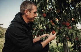 Altenriederer fruit farm, © Monika Jungwirth, Karma & Pitch