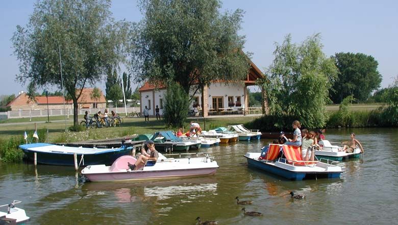 Rybník