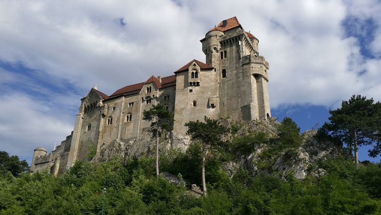 Lichtenštajnský hrad na kopci so stromami a modrou oblohou.