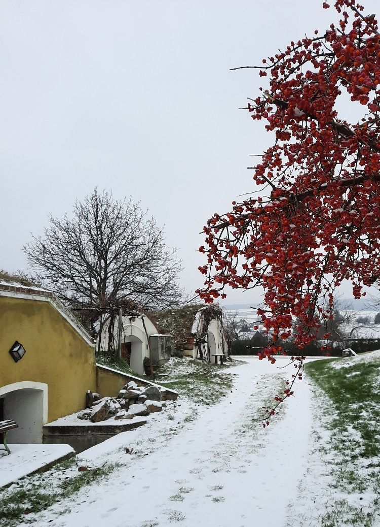 Pivničná štvrť Edelstal v zime