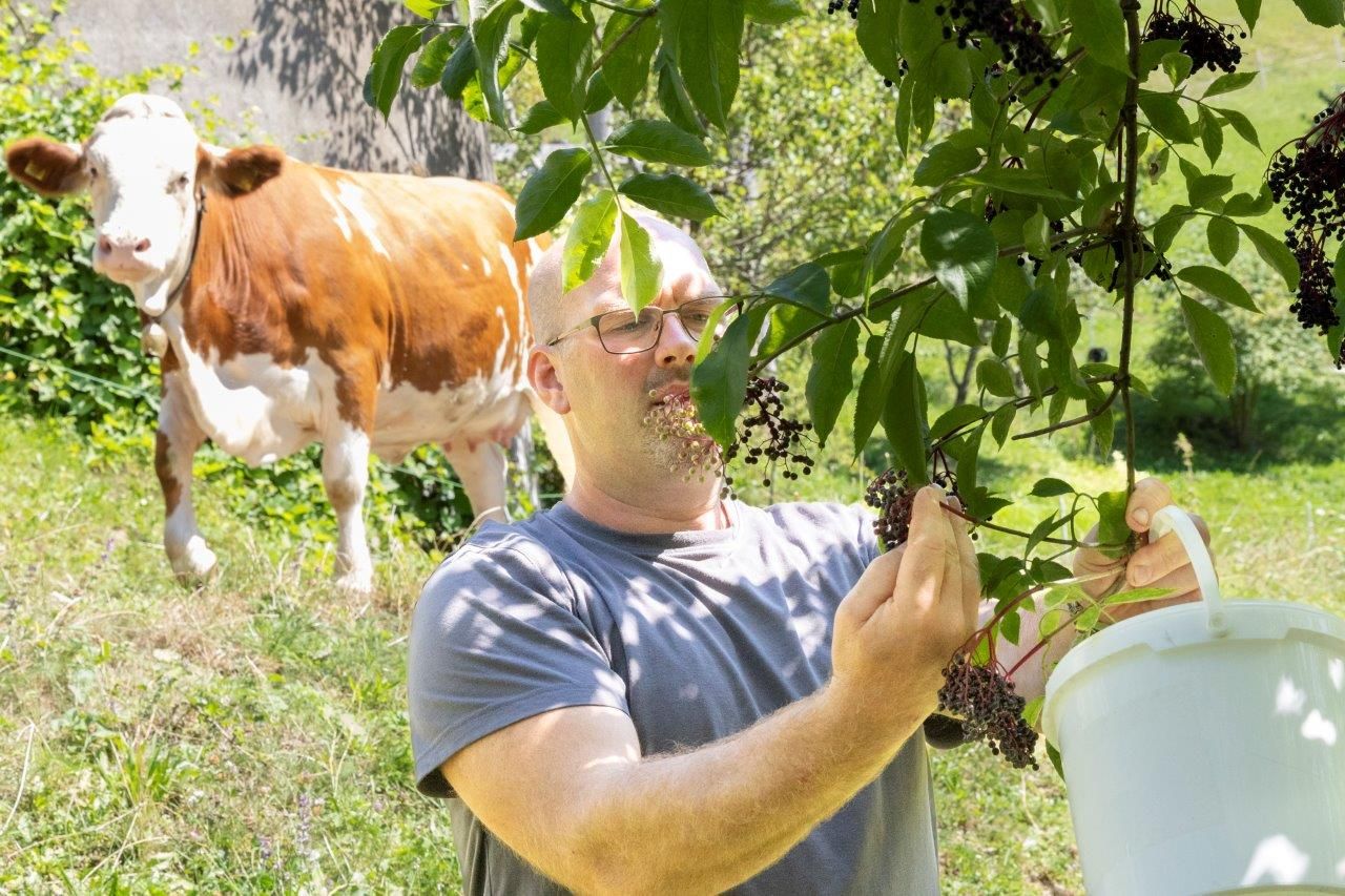 Ekologická farma Schlangenreith