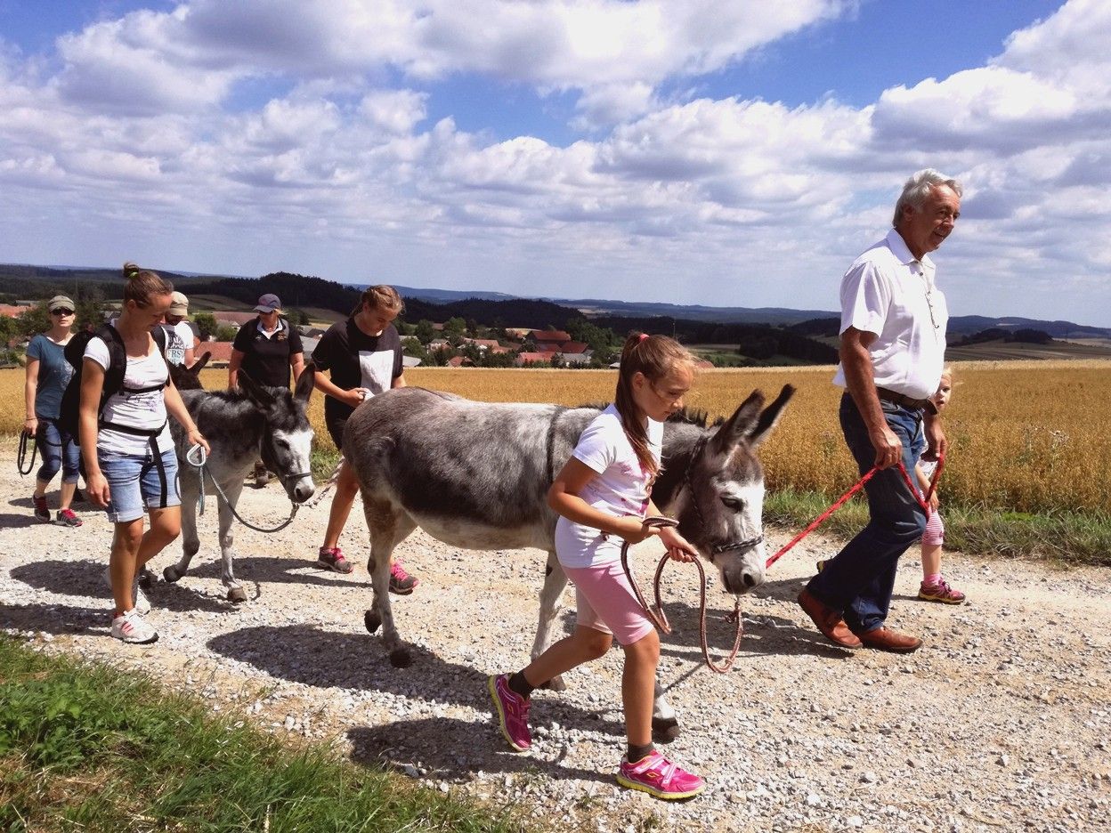 Skupina ľudí na prechádzke s oslami na vidieckej ceste za slnečného počasia.