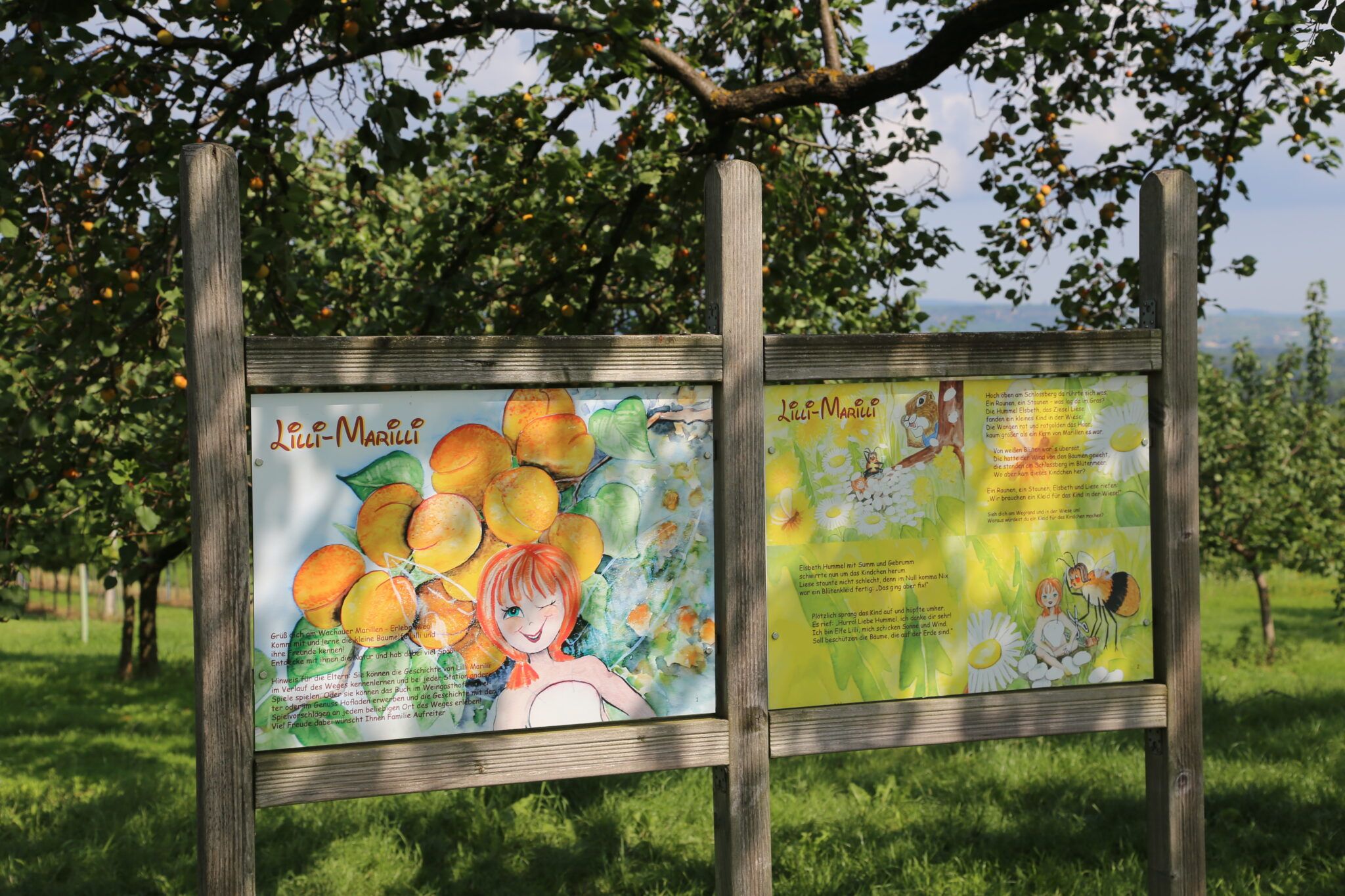 Označenie v marhuľovej záhrade s ilustráciami Lilli-Marilli a plodov marhúľ.