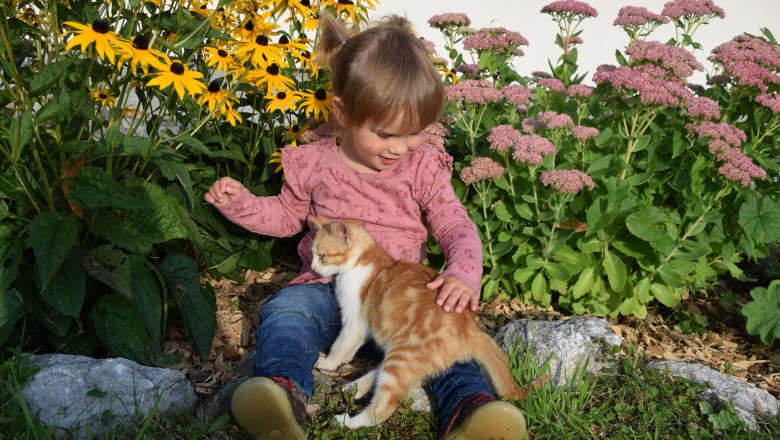 Vacation at the farm H&ouml;barten (4), &copy; H&ouml;barten