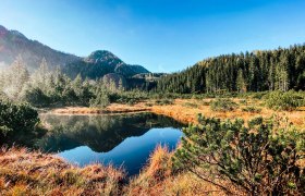 Leckermoor nature reserve, © Heidi Zettel