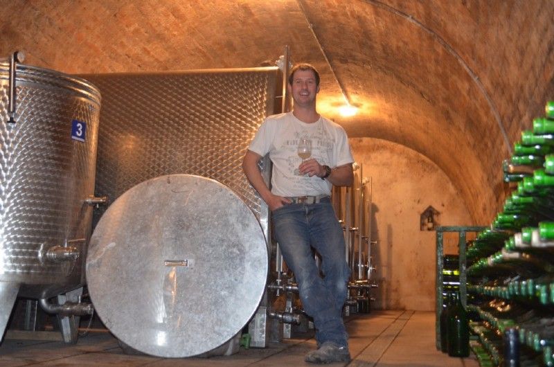 Muž stojí vo vínnej pivnici vedľa veľkých nerezových nádrží a fliaš s vínom.