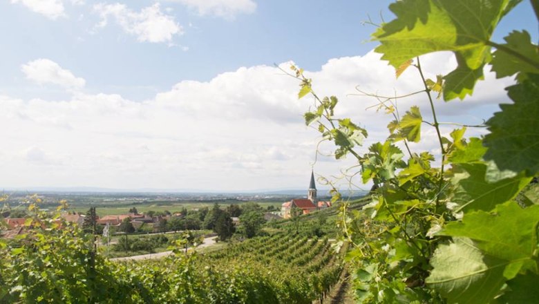 What a view!, &copy; Hannes Hofer