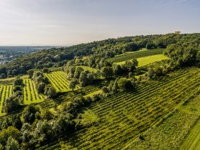 Grossweikersdorf, &copy; Donau Nieder&ouml;sterreich - Kamptal-Wagram-Tullner Donauraum