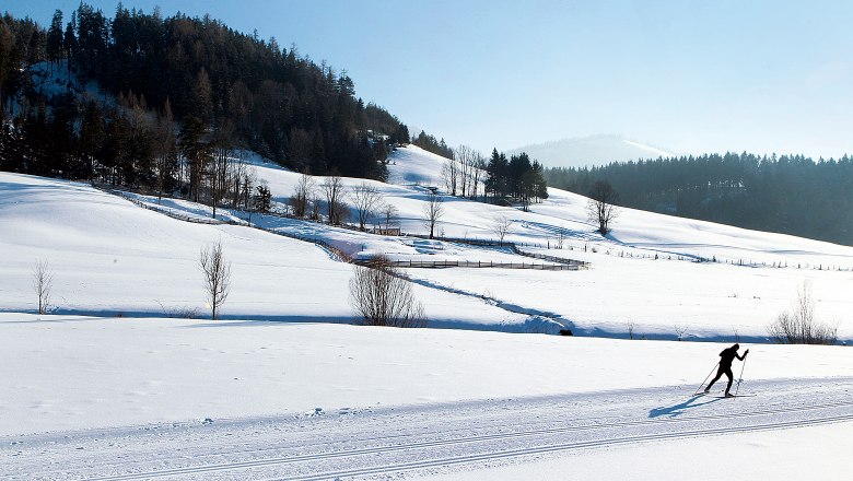 Cross-country skiing in St. Aegyd, &copy; weinfranz.at
