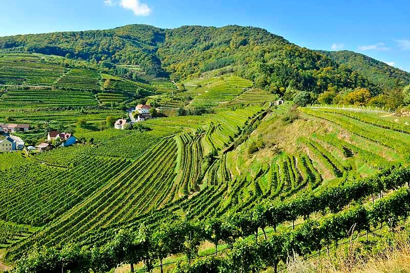 Červená brána a Buchberg v Spitz an der Donau