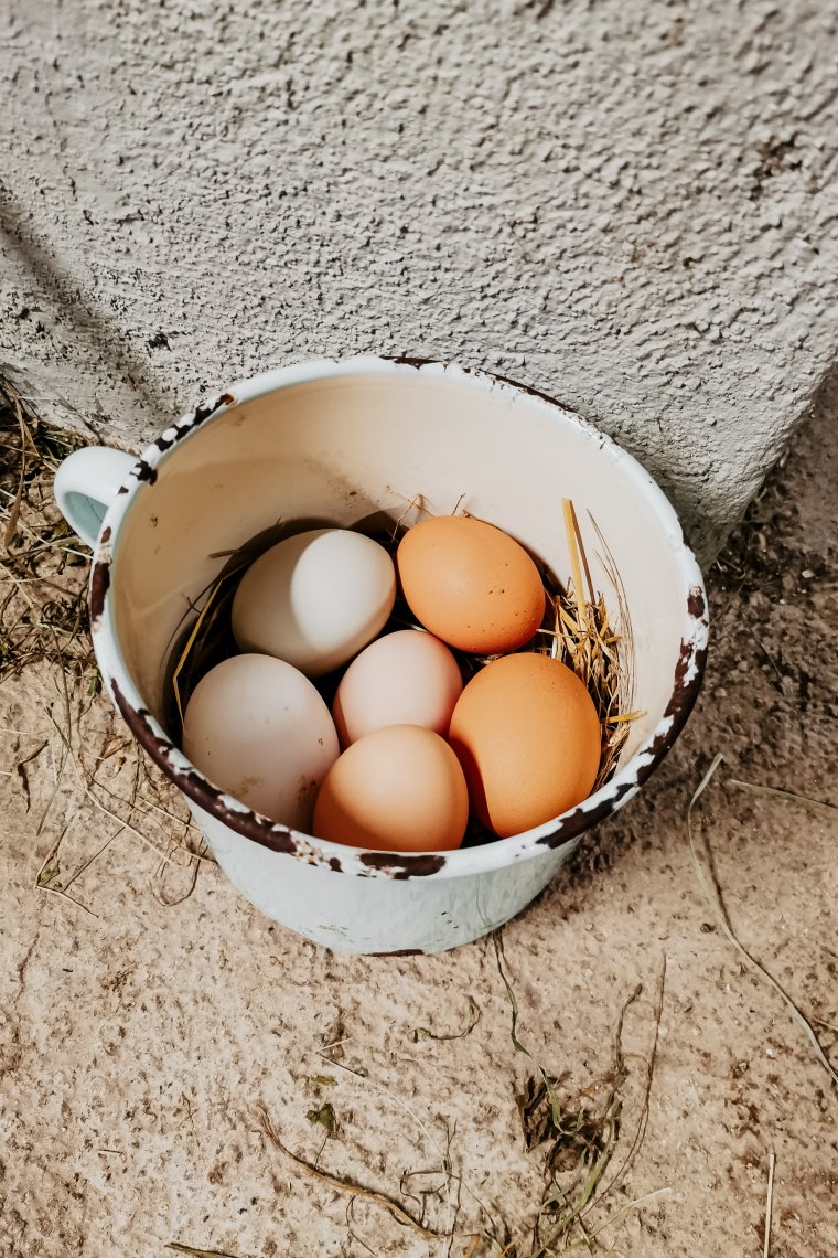 Čerstvé vajíčka na raňajky, © Maunzimadame