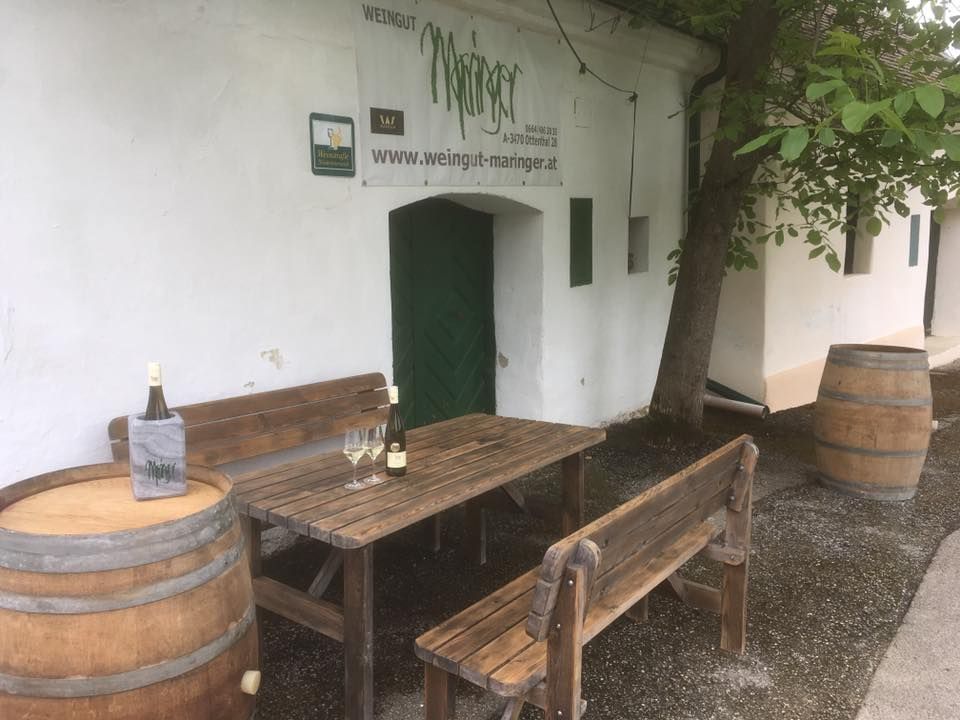 pod orechom pred pivnicou Maringer