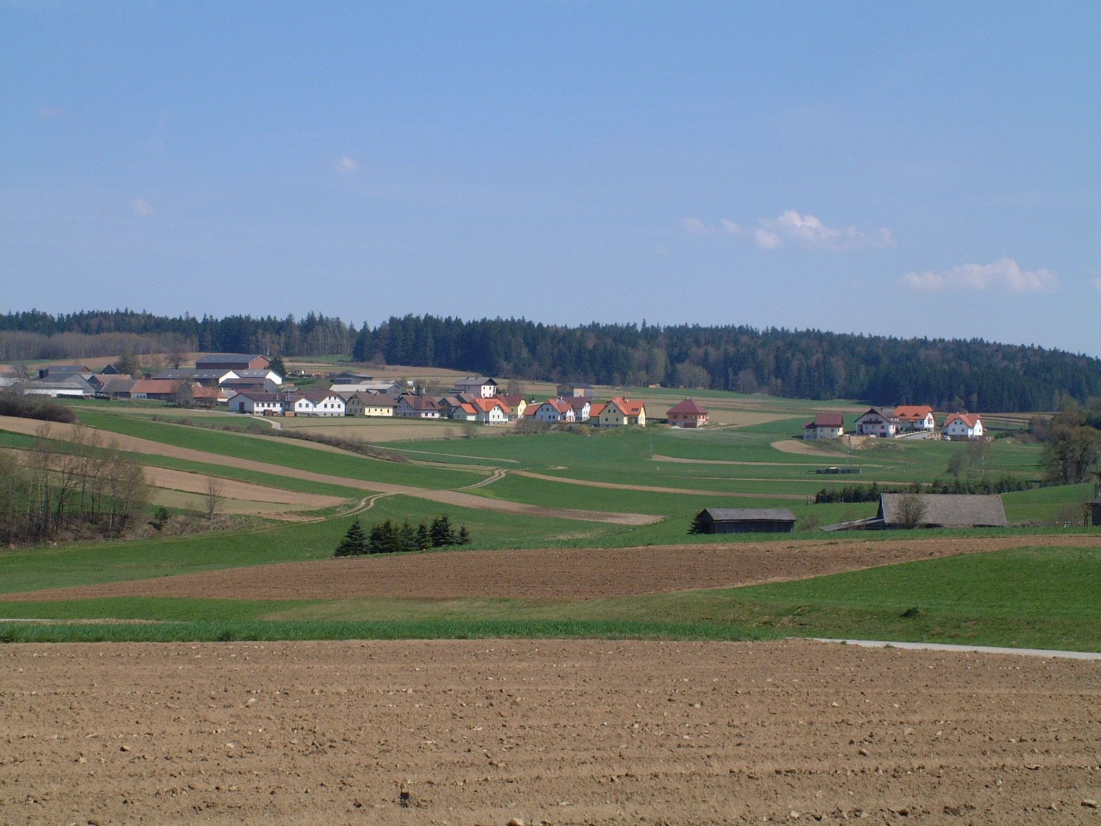 Krajina s poliami a dedinou v pozadí, obklopená lesom.