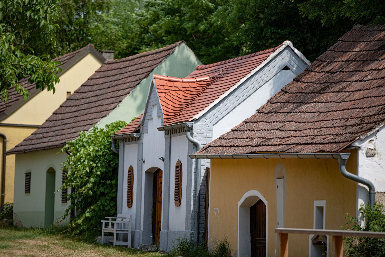Farebné vínne uličky s tradičnými vínnymi pivnicami pozdĺž tichej ulice lemovanej stromami, pri teplom dennom svetle.