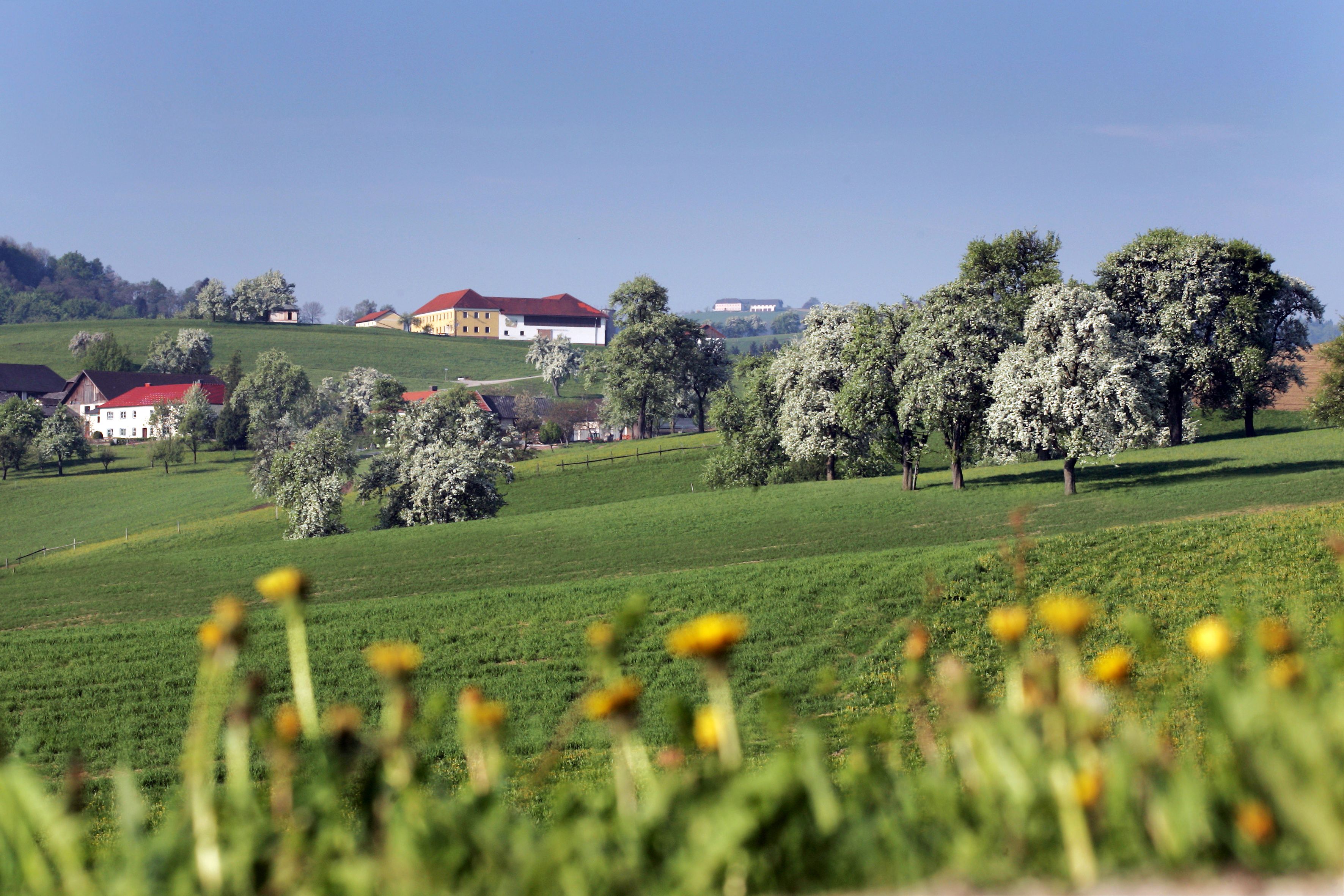 Ostarrichi Königshufenweg c weinfranz (1)