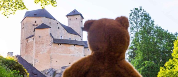 Plyšový medvedík sa pozerá na hrad Rappottenstein, © Martin Lugmayr/www.art.waldsoft.at