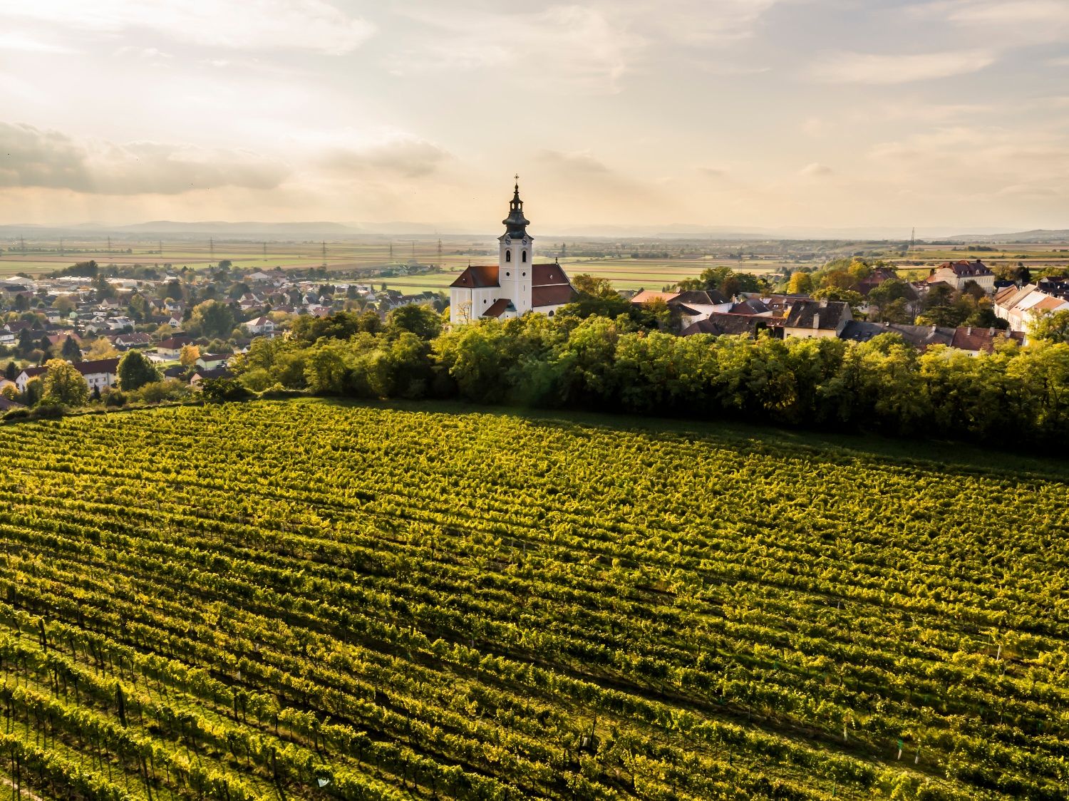 Pohľad na krajinu Kirchberg am Wagram s kostolom a vinicami v popredí.