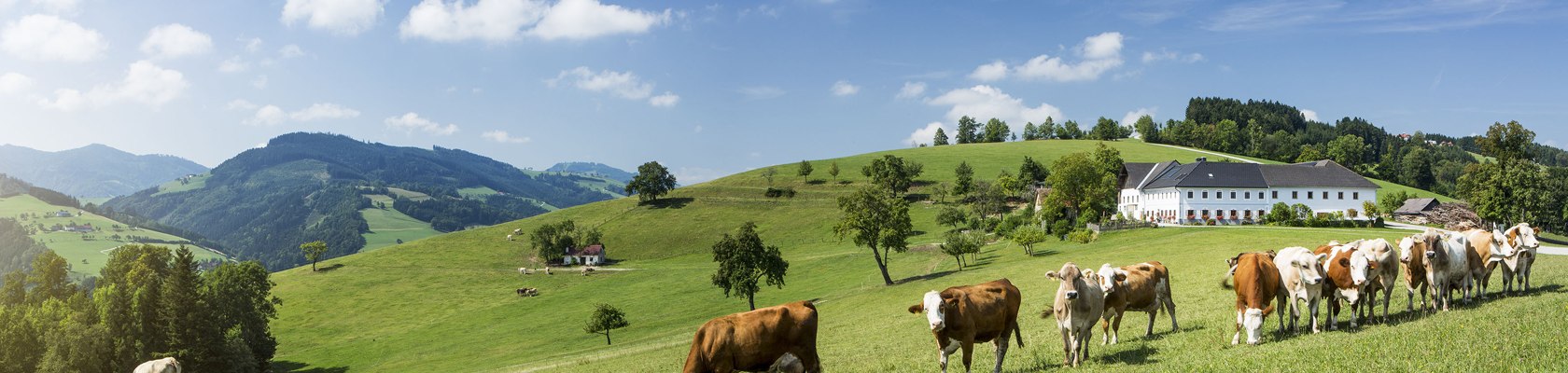 St. Georgen in der Klaus v Mostvierteli, © Niederösterreich-Werbung/ M. Liebert