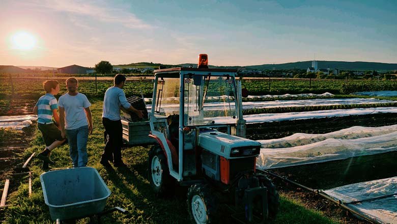 At the vegetable field, © Gutes vom Gutshof