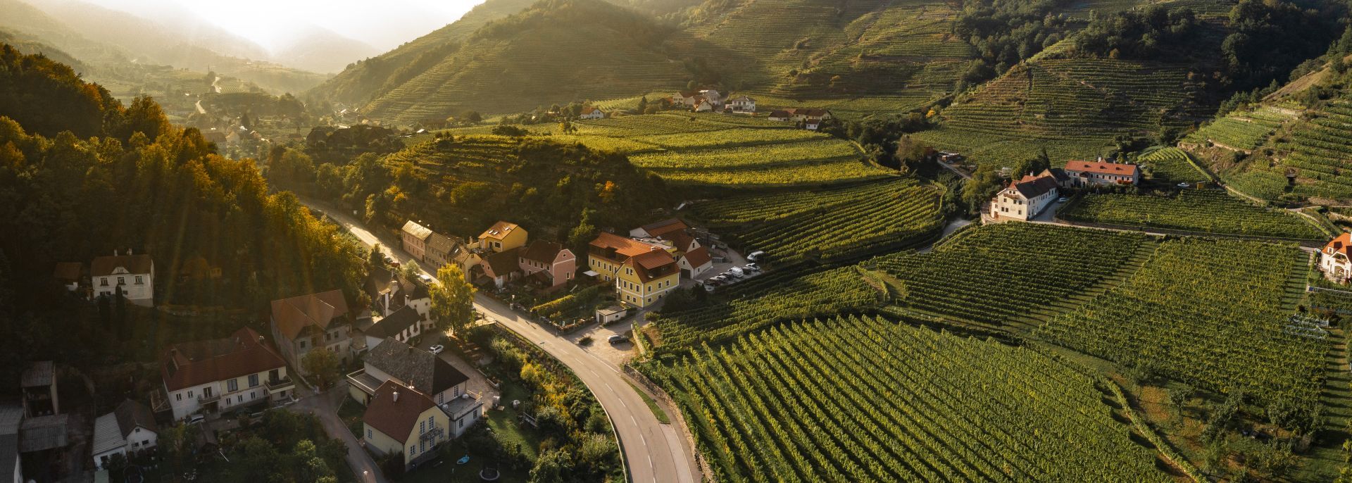Letecký pohľad na vidiecku krajinu s vinicami a domami pri západe slnka.