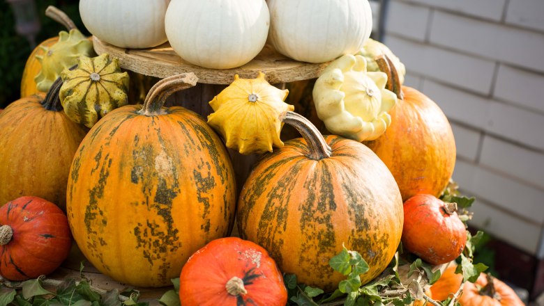 Pumpkin pyramid K&uuml;rbiserlebnishof Heisler, &copy; Robert Herbst