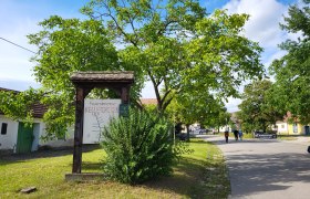 20220709_165906, &copy; Verena Schnatter