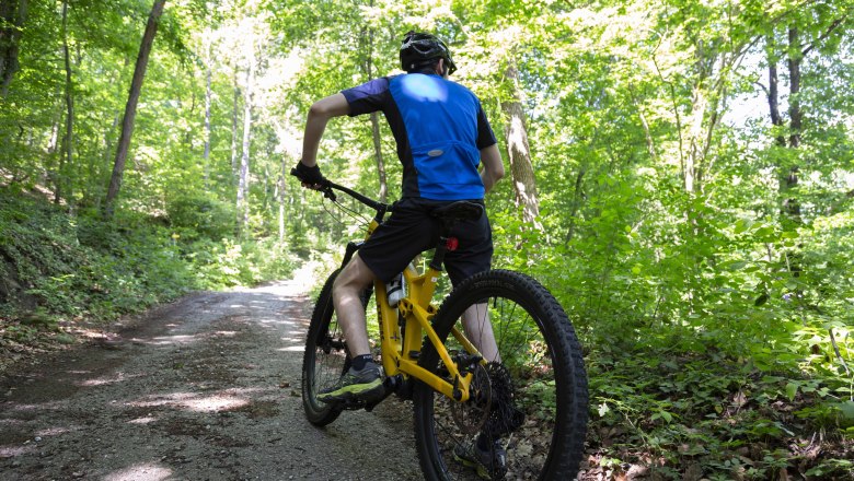 MTB-Touren im Waldviertel, © Donau NÖ_Barbara Elser