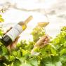 WeingutStadler_Wein_(c)RobertHerbst_1920px, © Robert Herbst