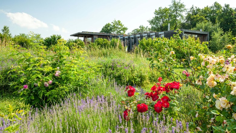 Municipality of Hardegg, © Retzer Land / Die Reisereporter