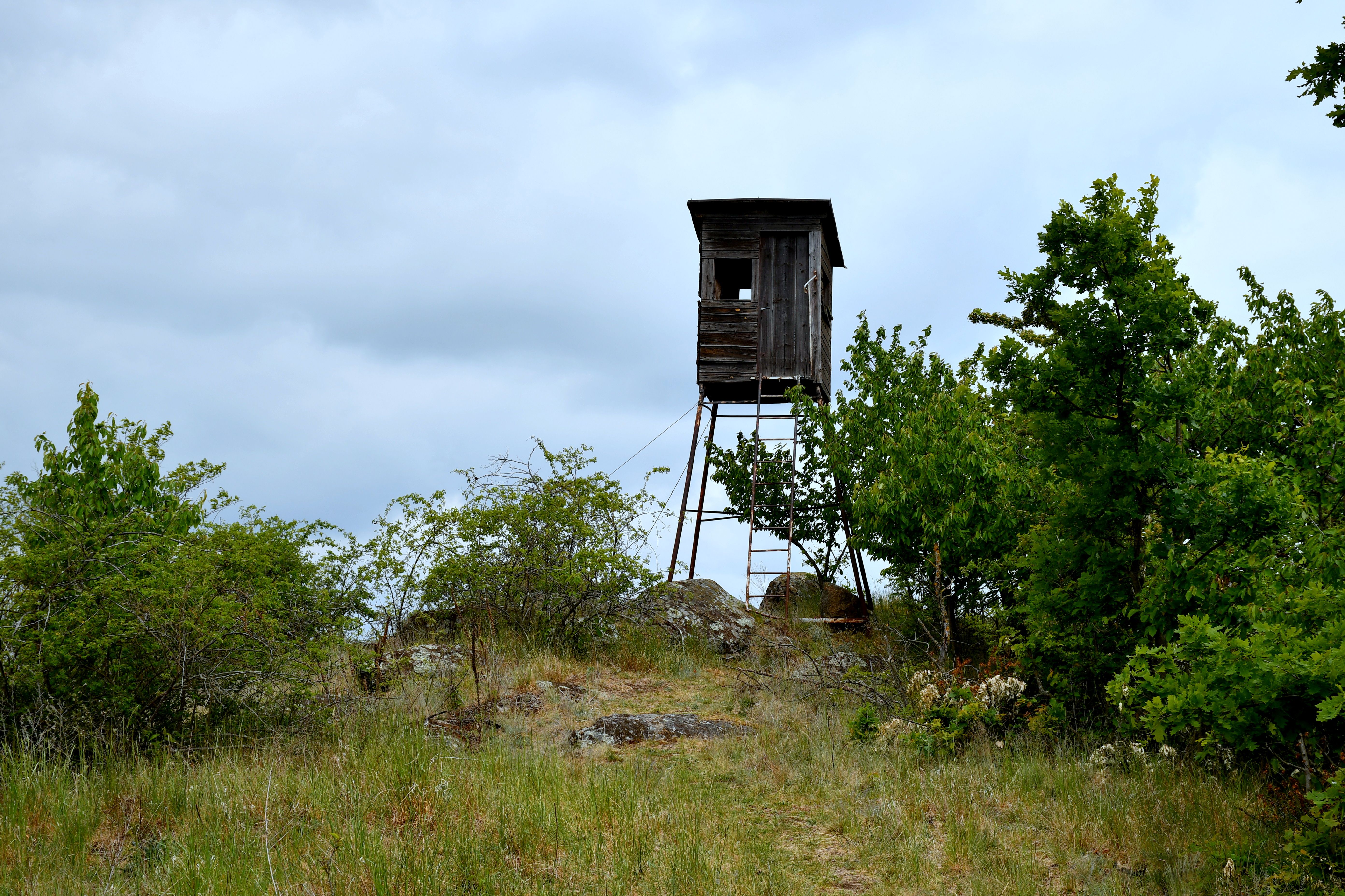 Feldberg pri Roggendorfe