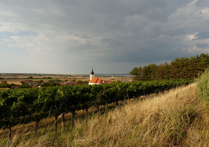 Krajina s kostolom, viničom a zamračenou oblohou.